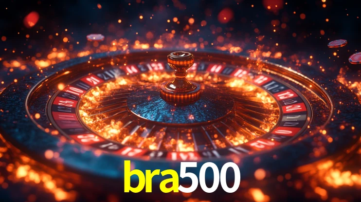 bra500 App Interface