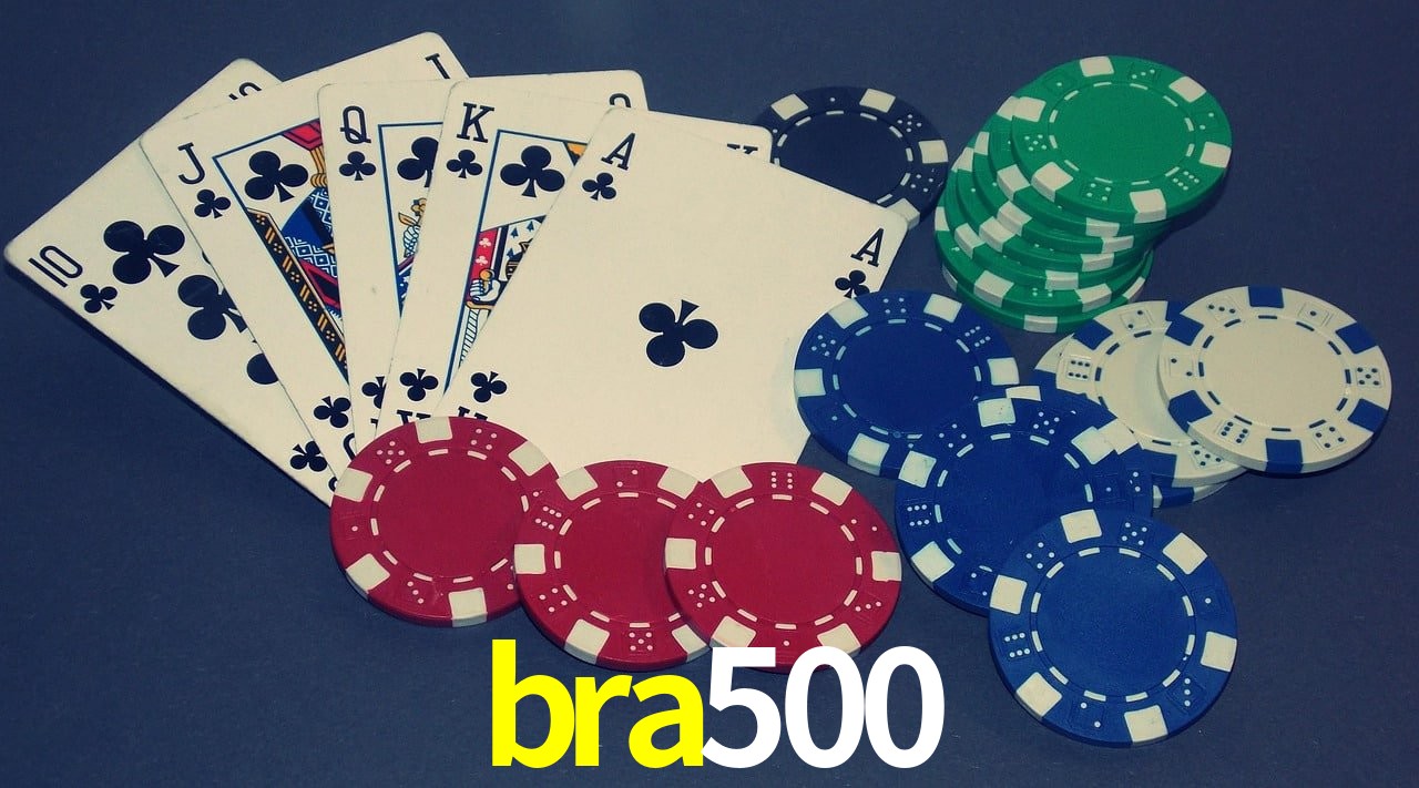 Player Reviews bra500